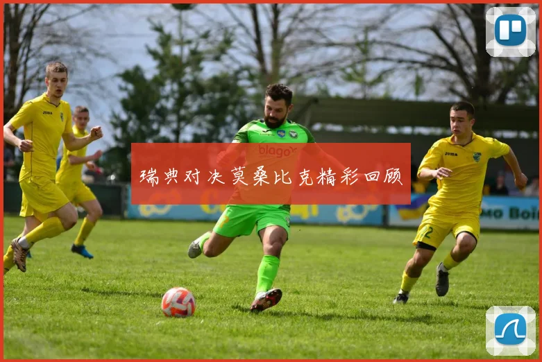 瑞典对决莫桑比克精彩回顾