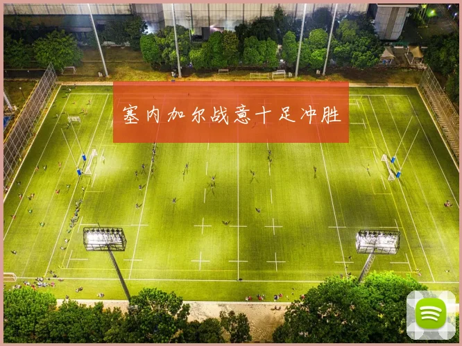 塞内加尔战意十足冲胜