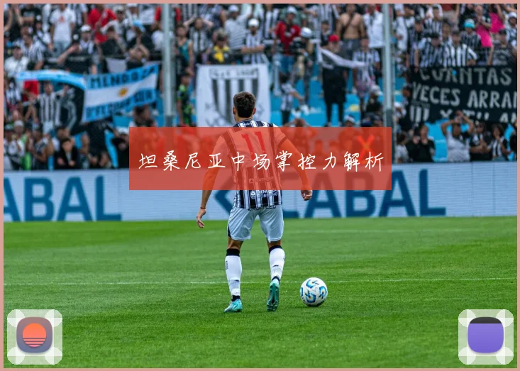 坦桑尼亚中场掌控力解析