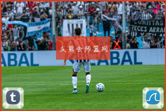 灰熊会师篮网