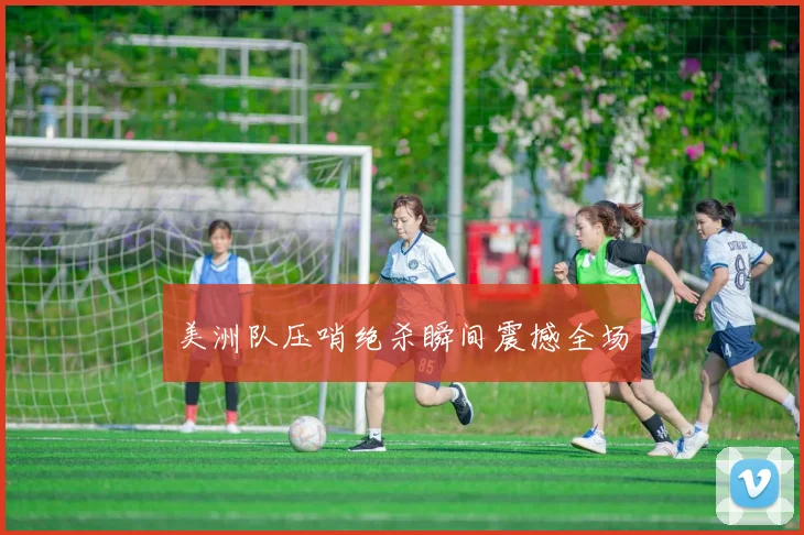 美洲队压哨绝杀瞬间震撼全场