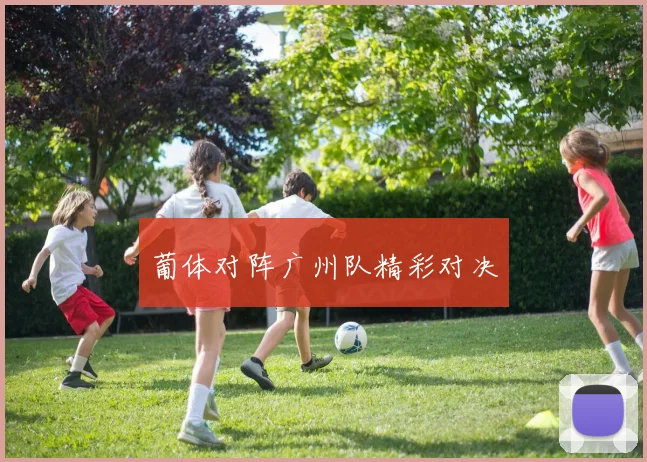 葡体对阵广州队精彩对决