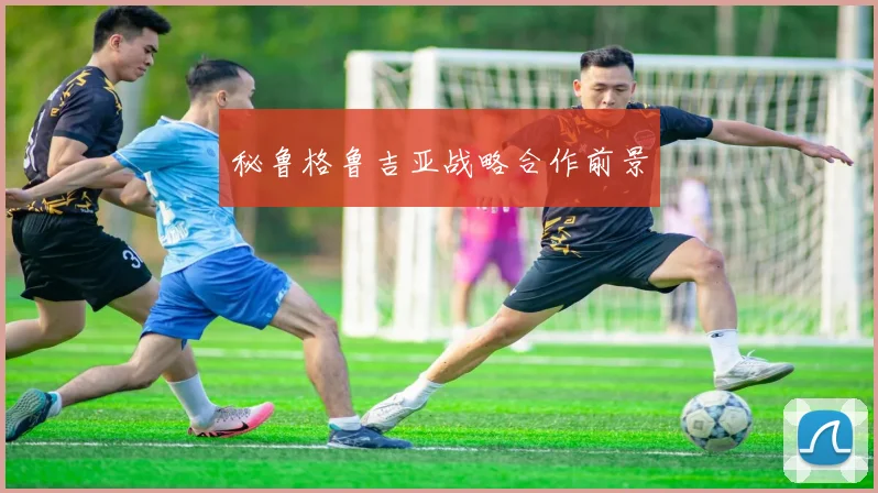 秘鲁格鲁吉亚战略合作前景