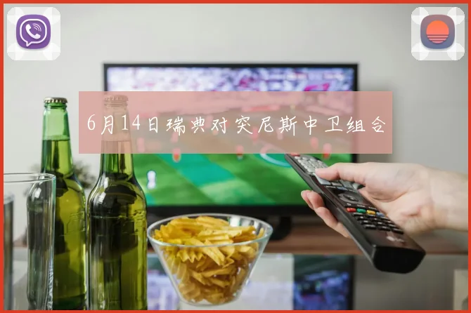 6月14日瑞典对突尼斯中卫组合
