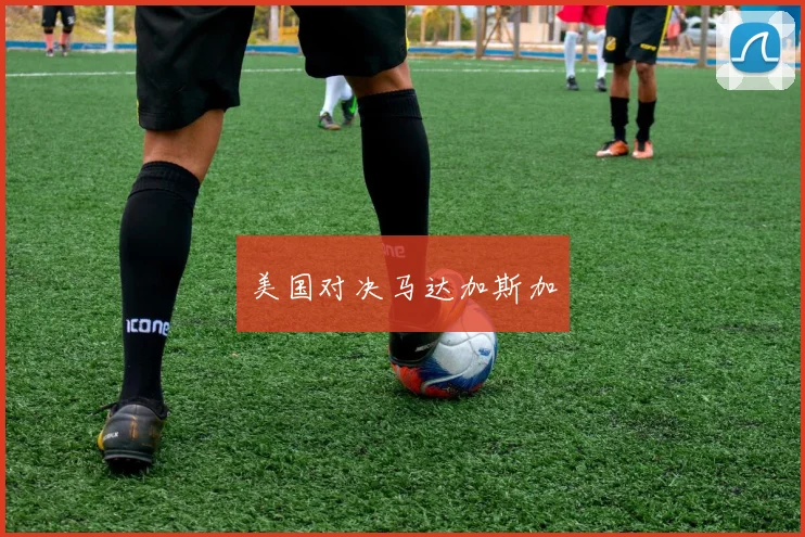 美国对决马达加斯加