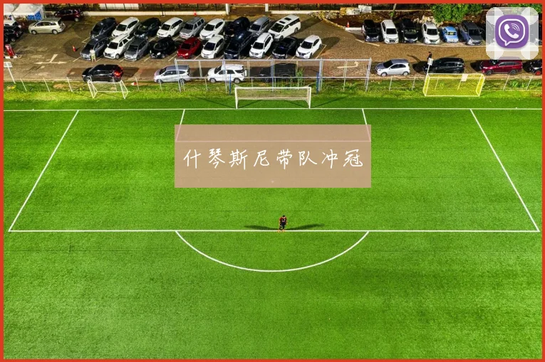 什琴斯尼带队冲冠