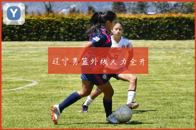辽宁男篮外线火力全开