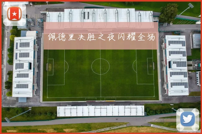 佩德里决胜之夜闪耀全场