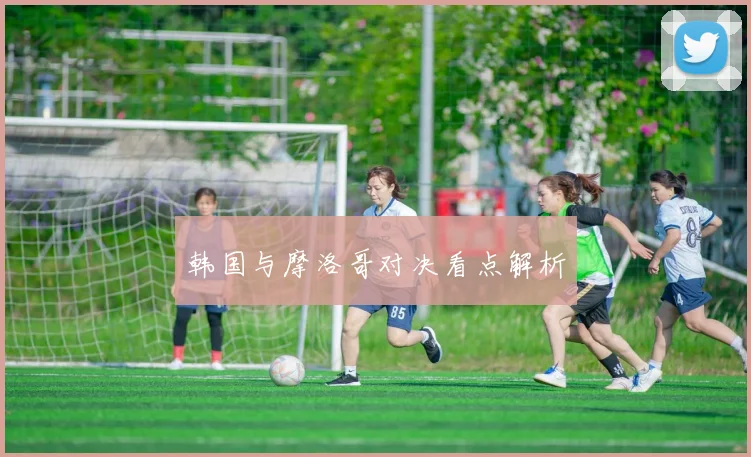 韩国与摩洛哥对决看点解析