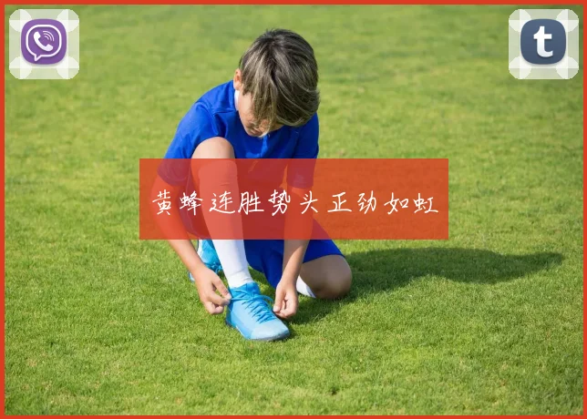 黄蜂连胜势头正劲如虹