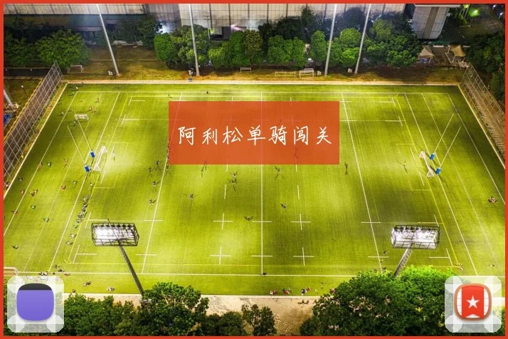 阿利松单骑闯关