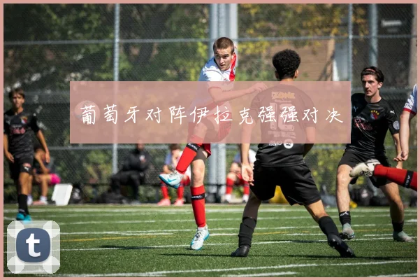 葡萄牙对阵伊拉克强强对决