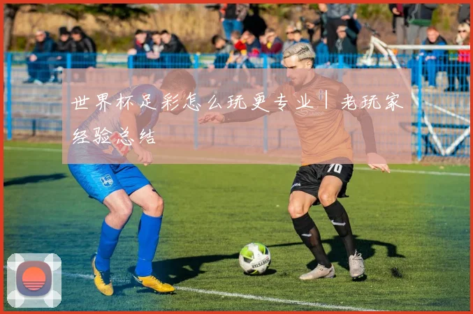 世界杯足彩怎么玩更专业｜老玩家经验总结