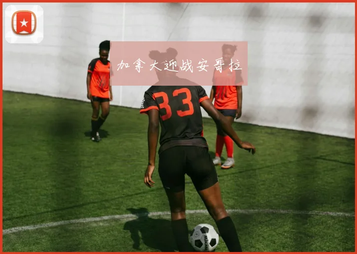 加拿大迎战安哥拉