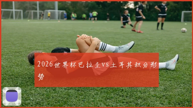 2026世界杯巴拉圭vs土耳其积分形势