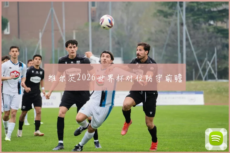 维尔茨2026世界杯对位防守前瞻