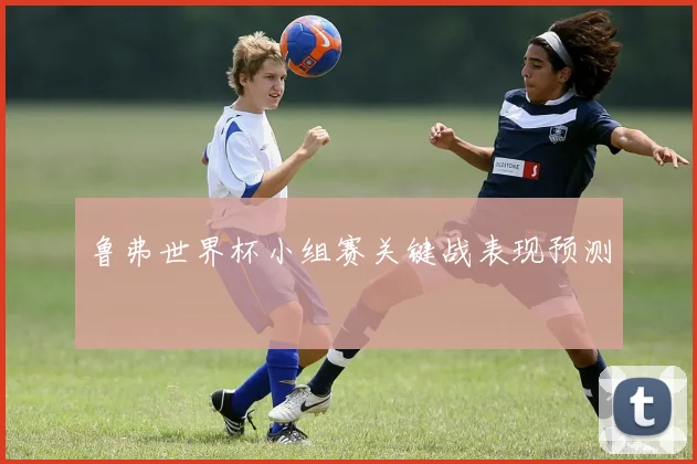 鲁弗世界杯小组赛关键战表现预测