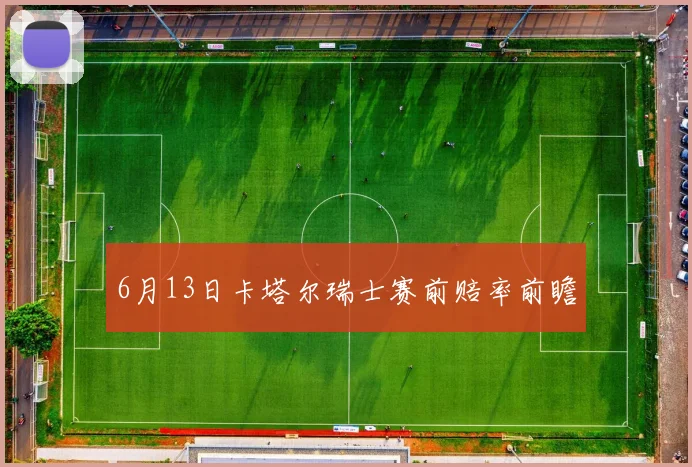 6月13日卡塔尔瑞士赛前赔率前瞻