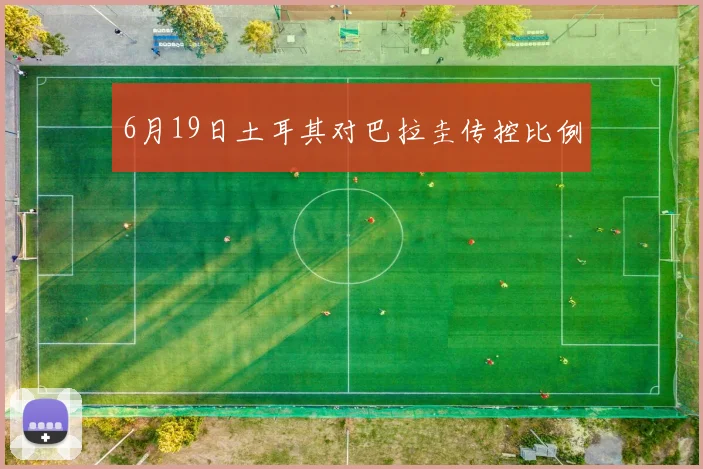 6月19日土耳其对巴拉圭传控比例