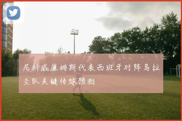 尼科威廉姆斯代表西班牙对阵乌拉圭队关键传球预测