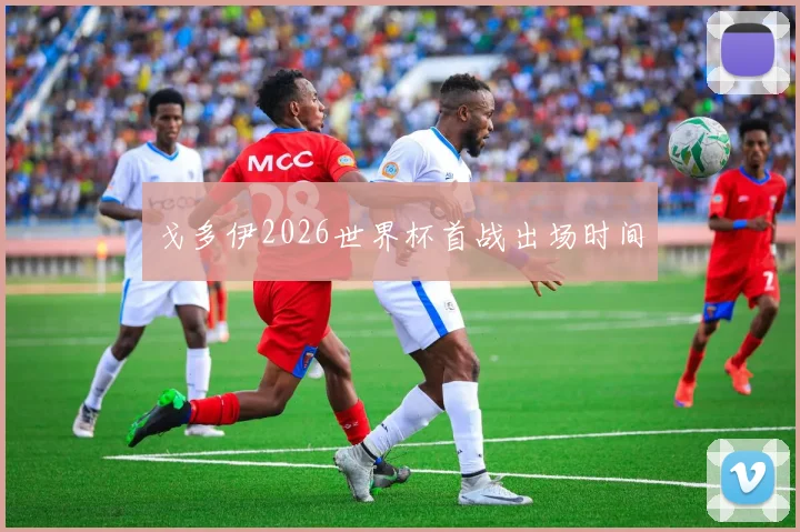 戈多伊2026世界杯首战出场时间