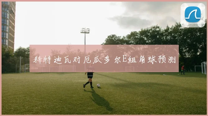 科特迪瓦对厄瓜多尔E组角球预测