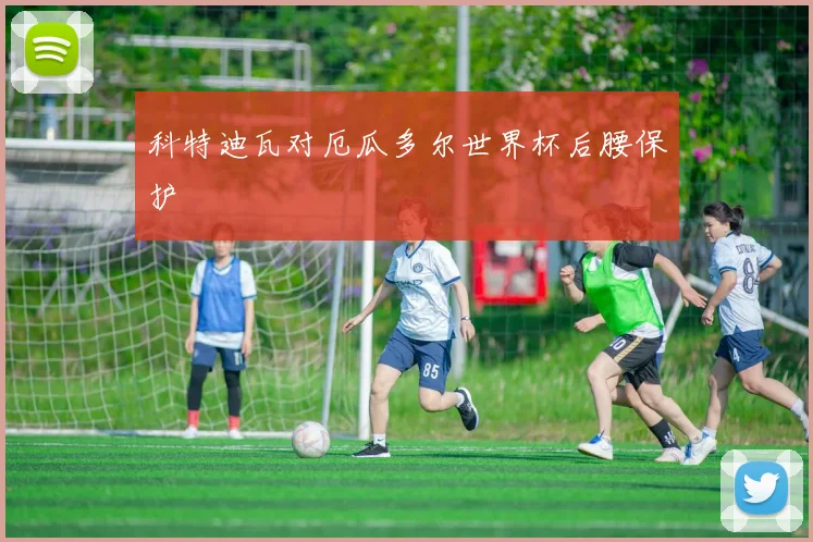 科特迪瓦对厄瓜多尔世界杯后腰保护