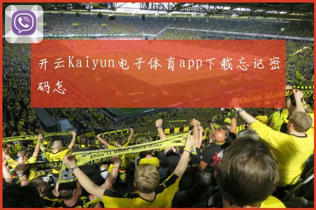 开云Kaiyun电子体育app下载忘记密码怎
